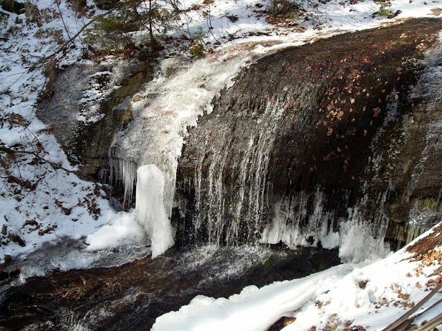 https://lh3.googleusercontent.com/-obRrr5Kfo9k/Tvd5fck2GsI/AAAAAAAAACM/CDcmIxxSxzI/s640/SDC12641.JPG