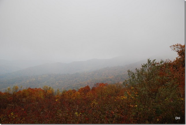 10-23-15 A Skyline Drive Shenandoah NP (63)