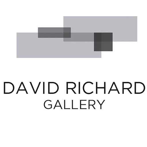 David Richard Gallery logo