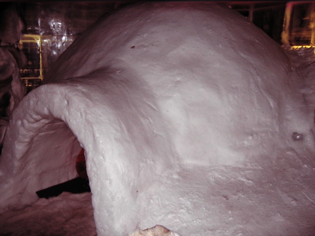 Fiordo de Porsang. Isla Mageroya. - Noruega II. De Rovaniemi a Cabo Norte. Al norte del Círculo Polar Ártico. (24)