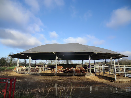 CIMG8069 Circular cattle barn, Dunstall farm