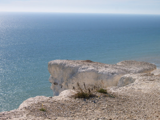 Exposed Chalk on Cliff Edge 