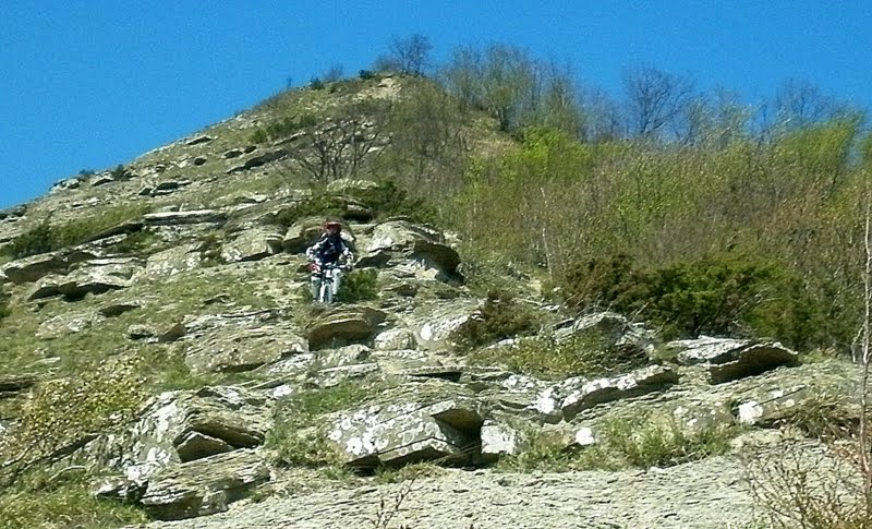 P1000861.JPG