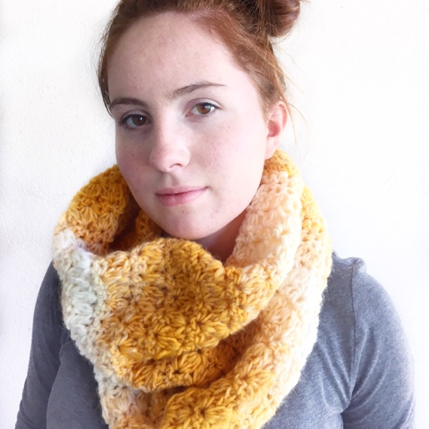 Scarfie Crocheted Mixed Cluster Stitch Cowl Daisy Farm Crafts