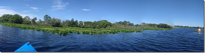 Fox lake - pano