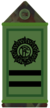 파일:external/upload.wikimedia.org/50px-IE-Army-OR9a.png