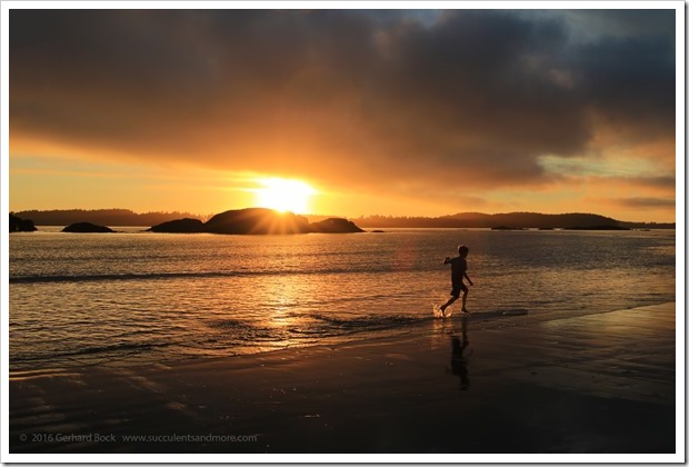 160902_Tofino_MacKenzieBeach_0048