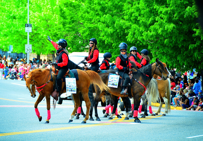 Apple Blossom Festival in Wenatchee, WA