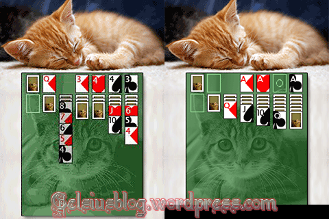 [Game Java] Kitten Solitaire [By AMA]