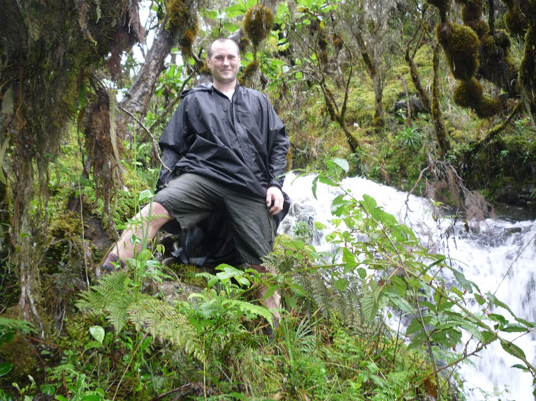 Танзания:Килиманджаро (Machame), Сафари, Занзибар. Январь 2013