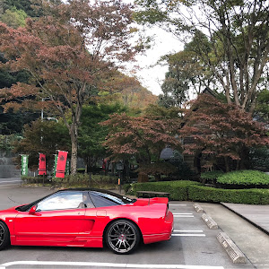 NSX