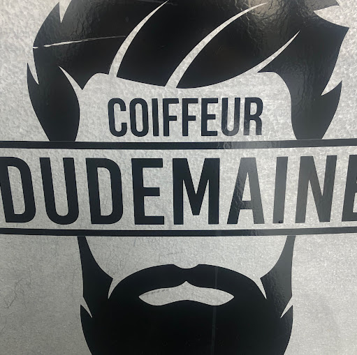 Coiffure Dudemaine logo