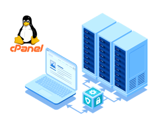 Linux Shared Hosting