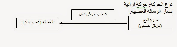    مواضيع مقترحة  لشهادة التعليم المتوسط لجميع المواد مباشرة للقراءة و المراجعة تحضيرا لدورة 2015 للمراجعة و الاستعداد للشهادة من طرف    Sans%20titre