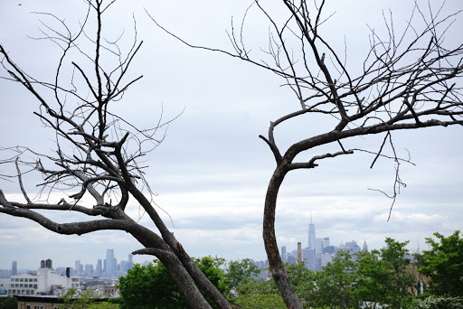 Park «Sunset Park», reviews and photos, 7th Ave & 43rd St, Brooklyn, NY 11232, USA