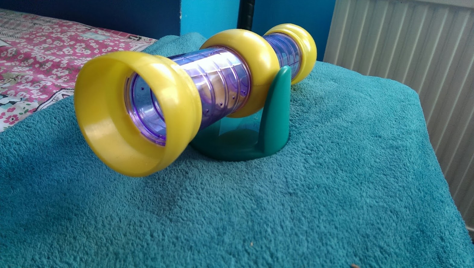 Top 5 Russian dwarf hamster accessories - Number 5 is the seesaw tube