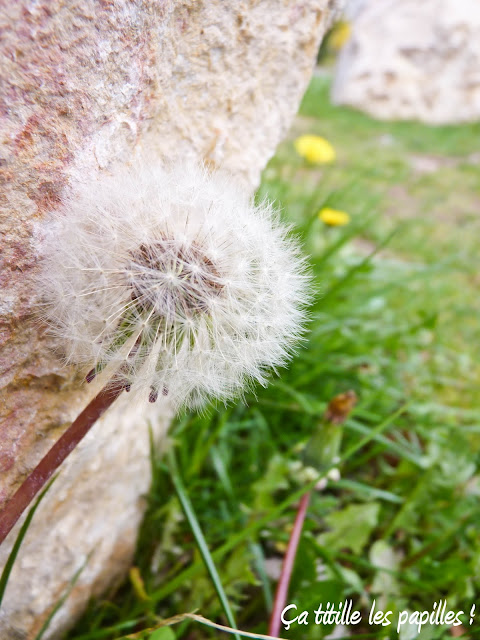 Ça titille les papilles !, Projet photo 52, Printemps, thème 11