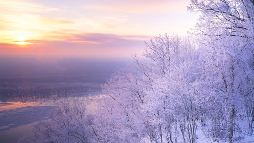 Icy Trees At Dawn, Upper Mississippi National Wildlife Refuge, Iowa.jpg