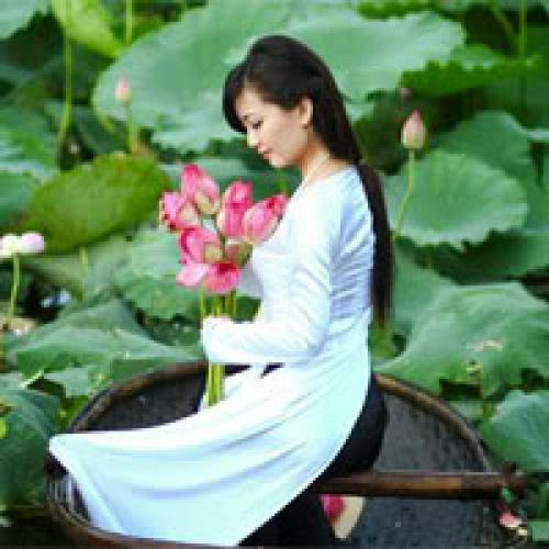 Beautiful Girl Hong Anh As Beautiful As Pink Lotus