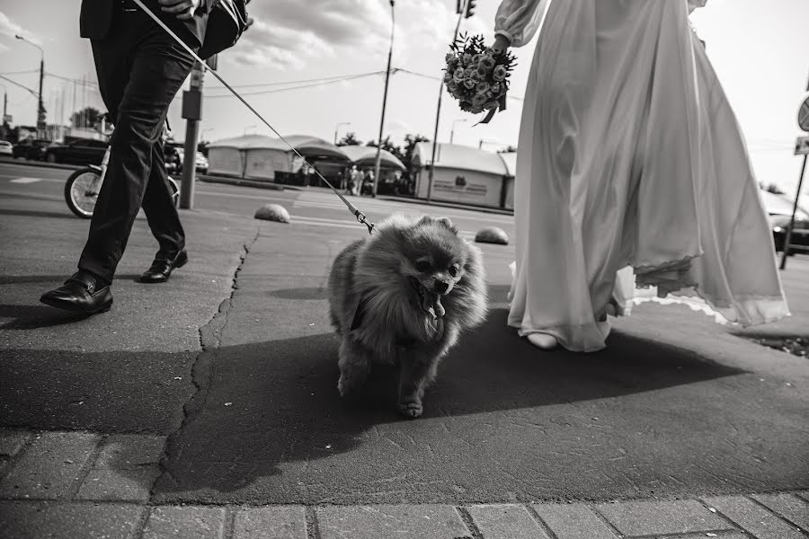 Fotógrafo de casamento Dmitriy Gladkov (gladkovdmitry). Foto de 1 de agosto 2023