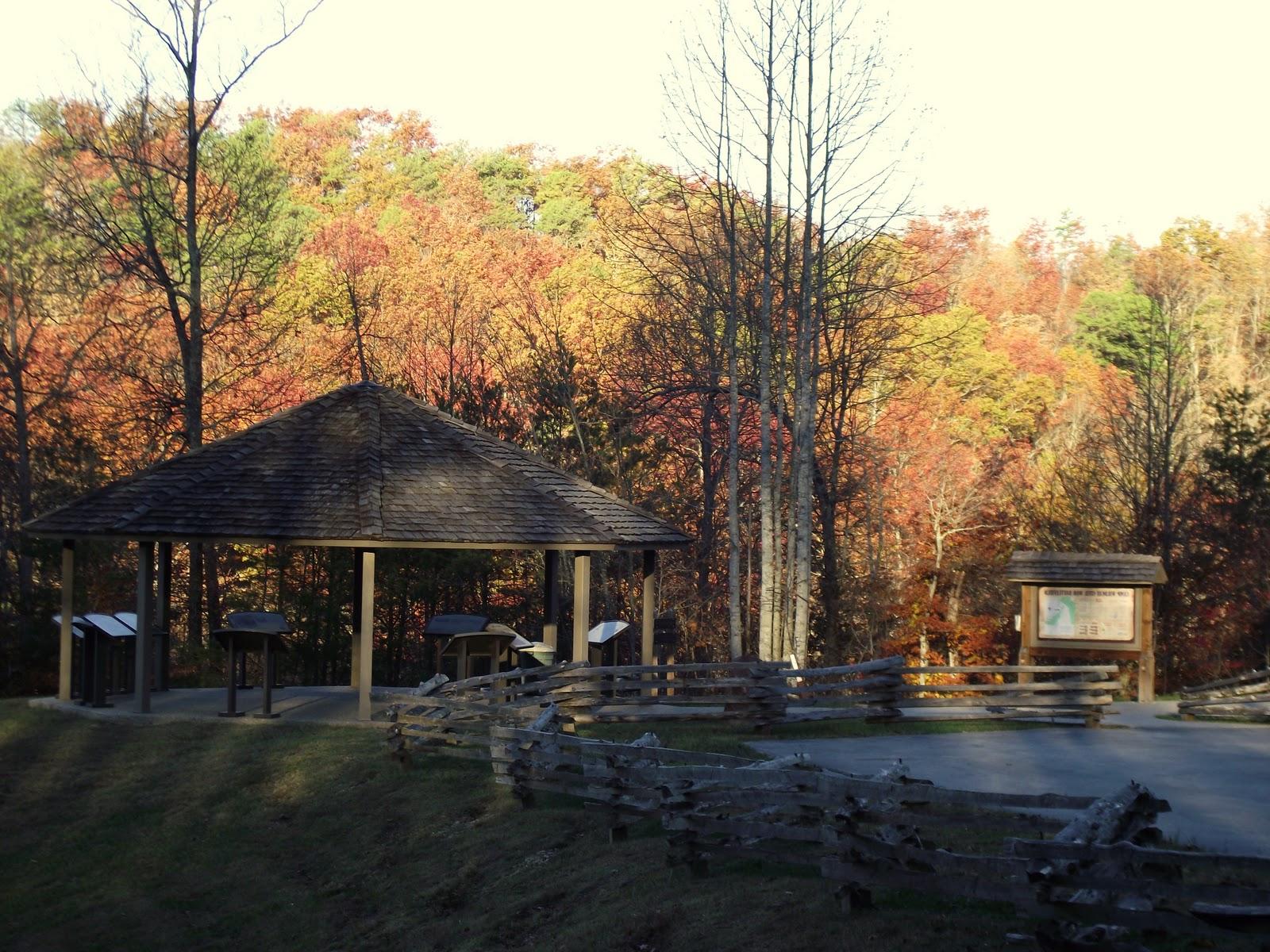 fall leaves decorations