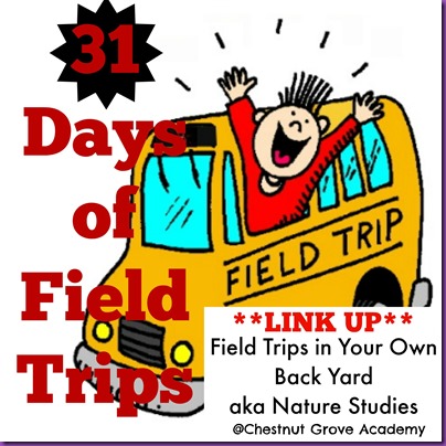 31 days of field trips5