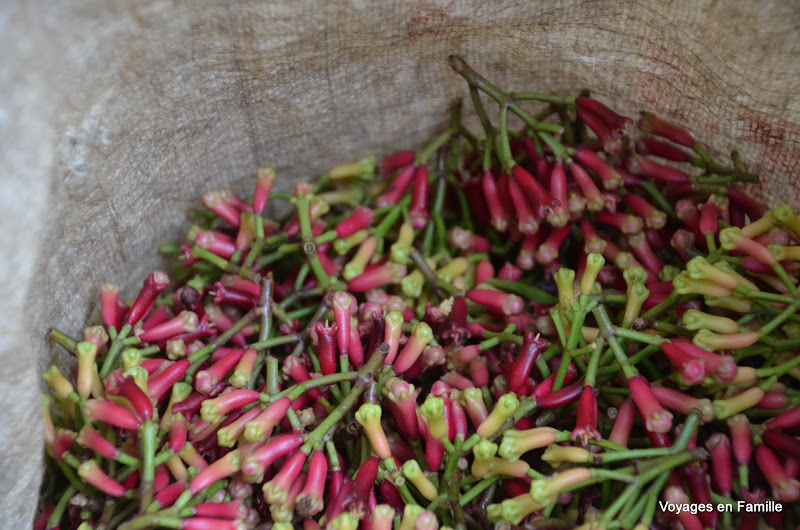 Clove flowers