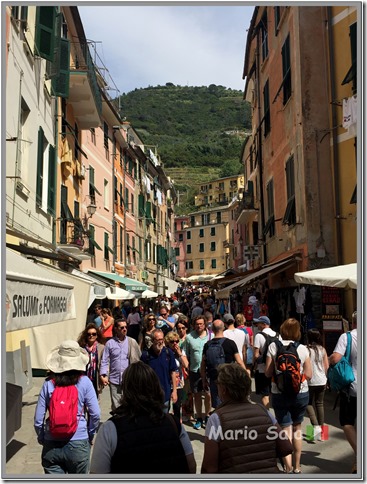 5TE_CEL_VERNAZZA_03