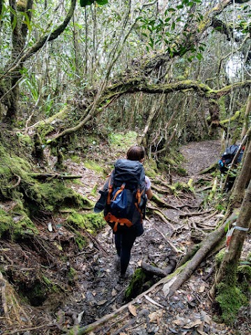 Mount Tahan Hiking