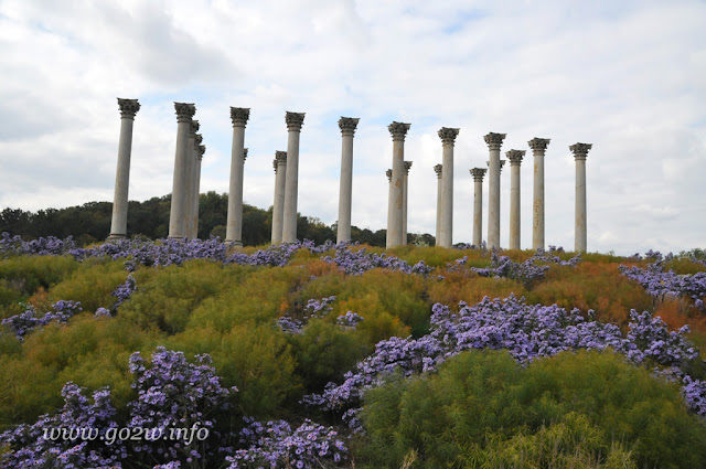 美國國家植物園