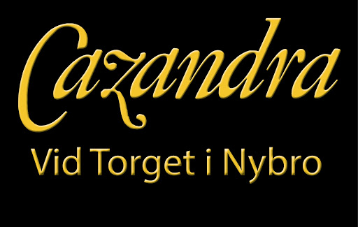 Cazandra logo