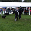 EFC 2011 091.JPG