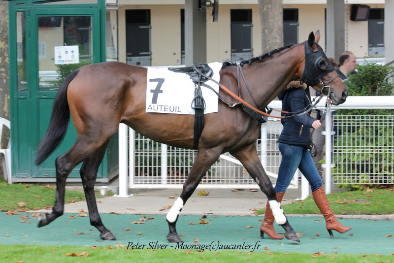 Photos Auteuil 26-09-2015 IMG_4066