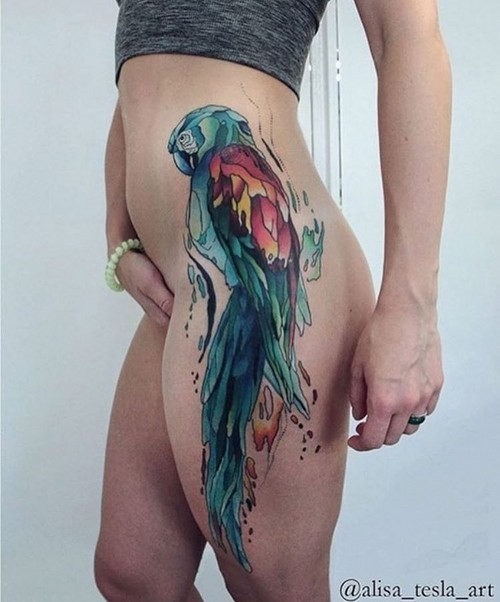 este_deslumbrante_papagaio_aquarela_tatuagem