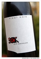 judith-beck-pinot-noir-2013