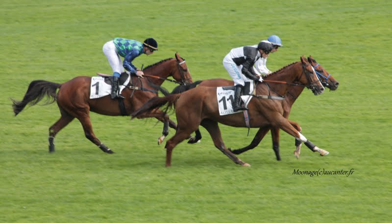 Photos Auteuil 26-09-2015 IMG_4015