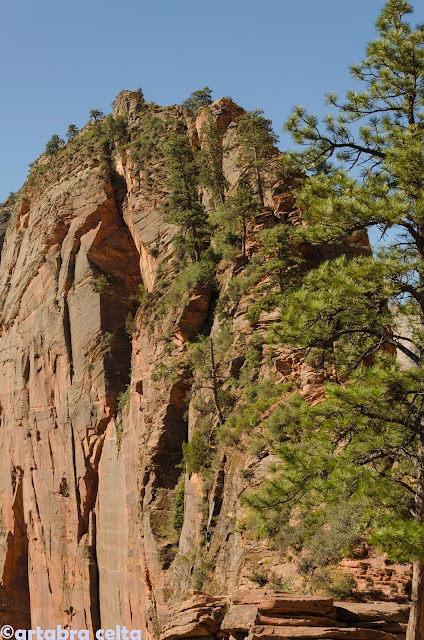 ANGELS LANDING TRAIL EN ZION N.P. - OESTE DE EEUU 2015. UN MES POR LOS PARQUES NATURALES DE 6 ESTADOS (TERMINADO!!) (33)