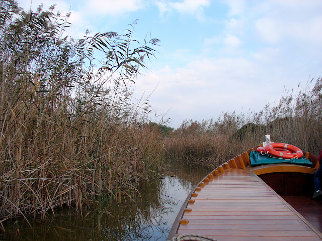 albufera de Valencia