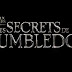 Bande annonce VF pour Les Animaux Fantastiques : Les secrets de Dumbledore de David Yates