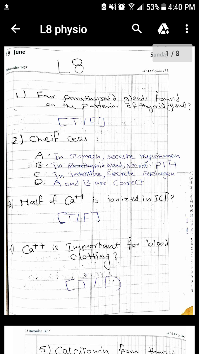 L8 parathyroid and adrenal glands