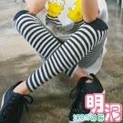 橫條紋膝蓋補丁拼接內搭褲 (共三色)-100%明洞