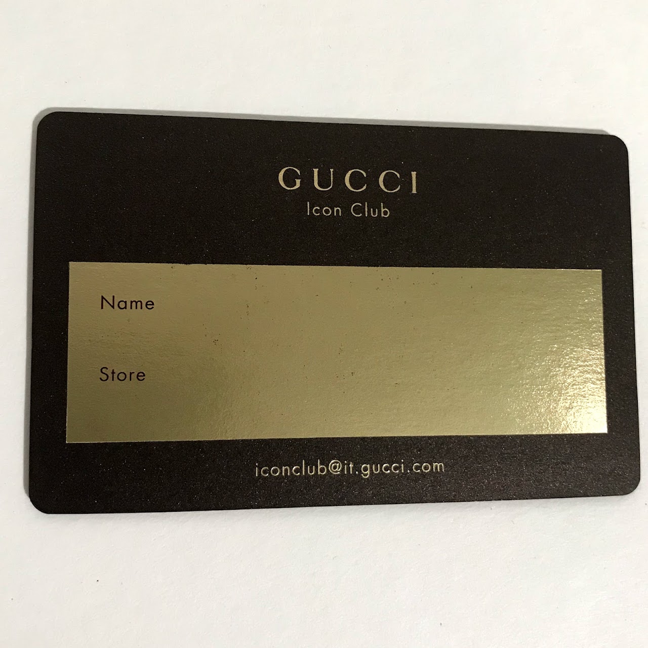 Gucci Icon Club Shoe Shine Brush and Cloth Set