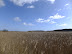 Dingle Great Hill standing like an island in the marsh