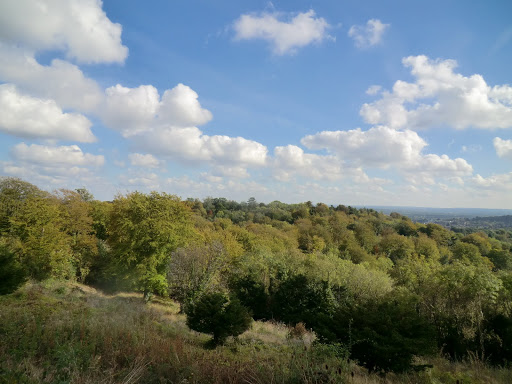 CIMG5120 View south-east from Reigate Hill