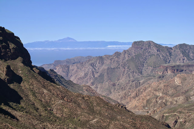 GRAN CANARIA MAR Y MONTE - Blogs de España - DUNAS DE MASPALOMAS, TEJEDA, ROQUE NUBLO (7)