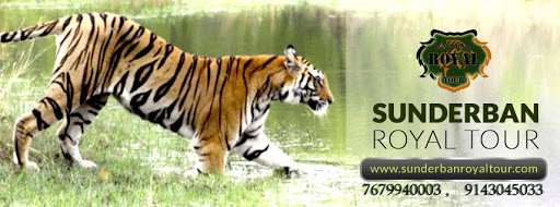 Sunderban Royal Tour Head office, Vidyasagarpally, Noyapara,, Sonarpur, Kolkata, West Bengal 700150, India, Tour_Agency, state WB