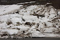 Avalanche Beaufortain, secteur Lac de Roselend, RD 217 - Photo 3 - © Duclos Alain