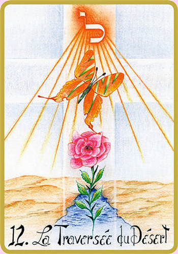 Le Tarot des 4 Vérités - Page 11 0_8cfe5_2d73e99f_L