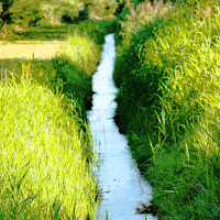 Linea d'acqua di 