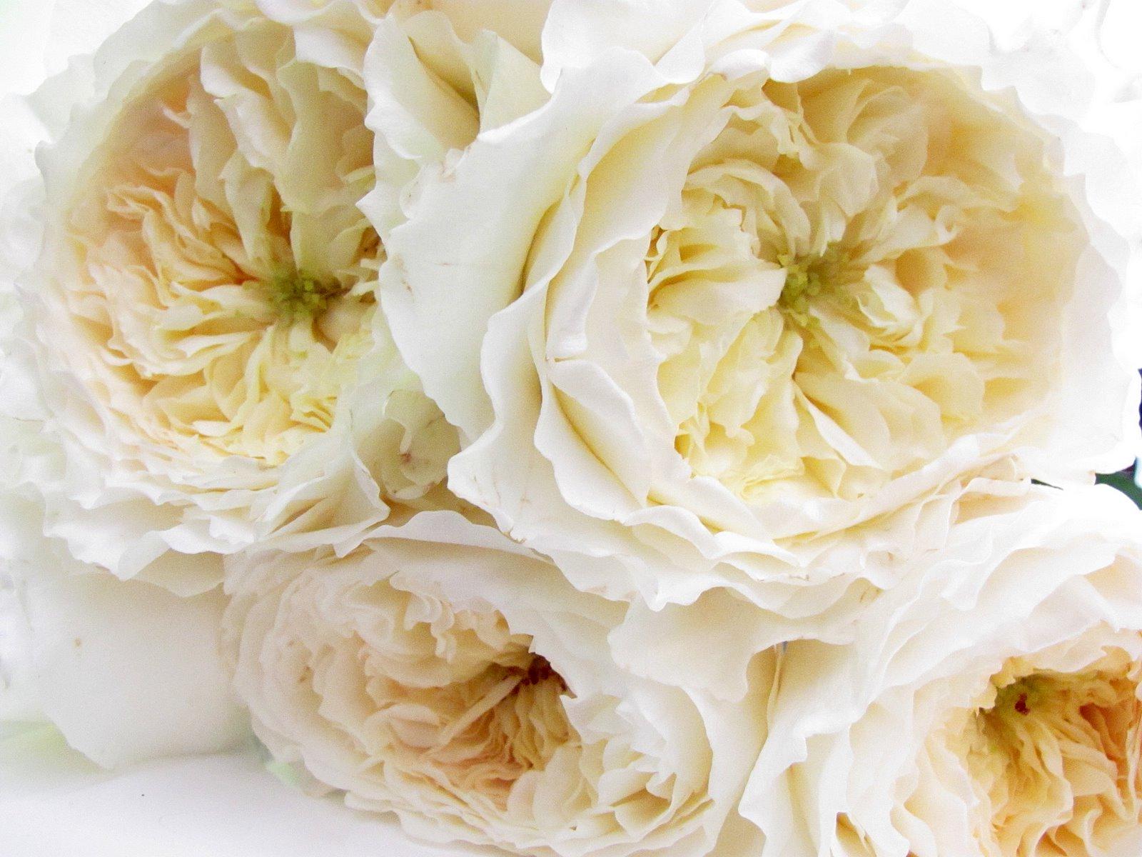 Planning your wedding flowers